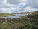 2014.08.21 Schottland - Stonechats Croft bei Ron in Sutherland (3136)